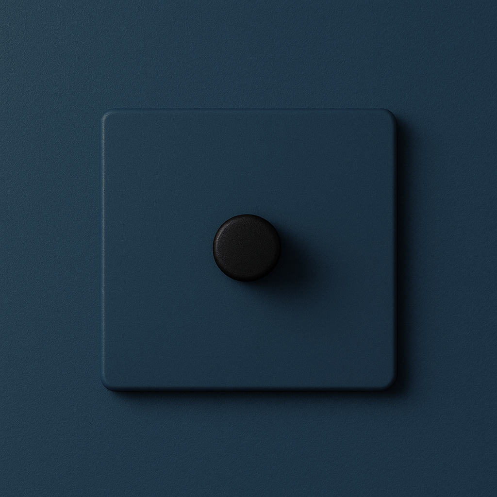 Hague  blue square switch with a round black rocker on a Hague  blue background