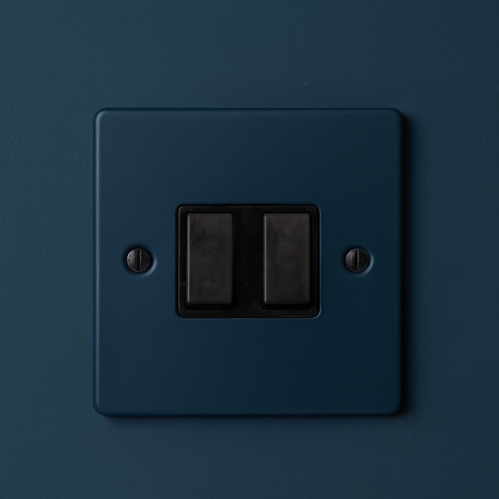  light switch on a hague blue wall